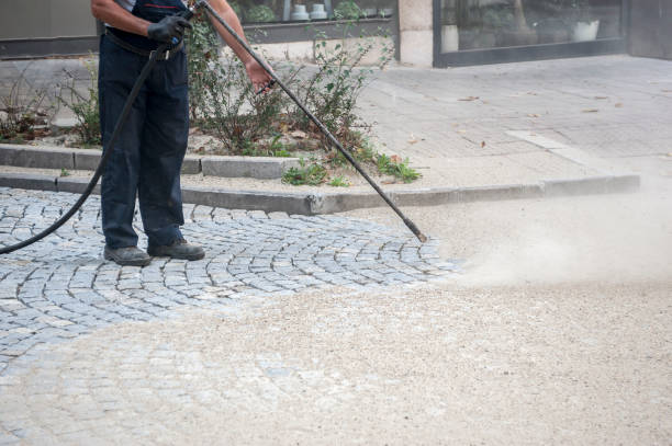 Best Fence Cleaning  in White Castle, LA