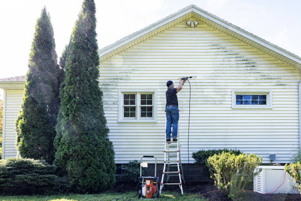 Best Sidewalk and Walkway Cleaning  in White Castle, LA